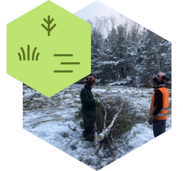 Landscape management / Bild