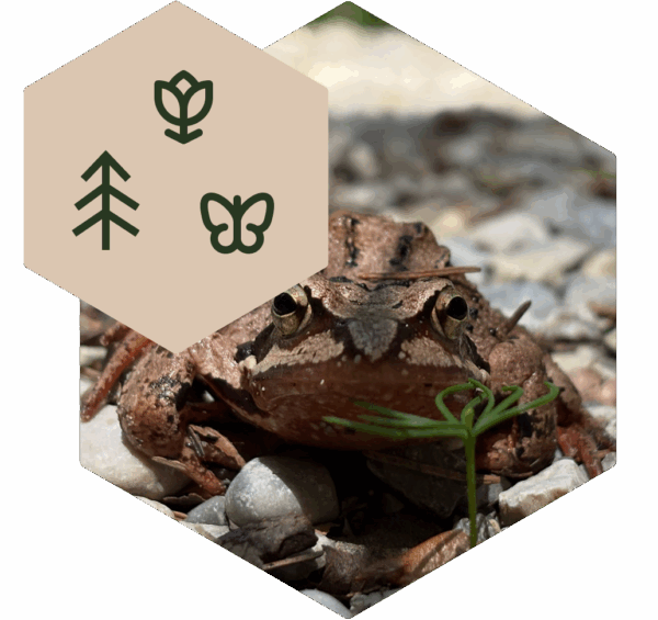 Environmental education / Bild